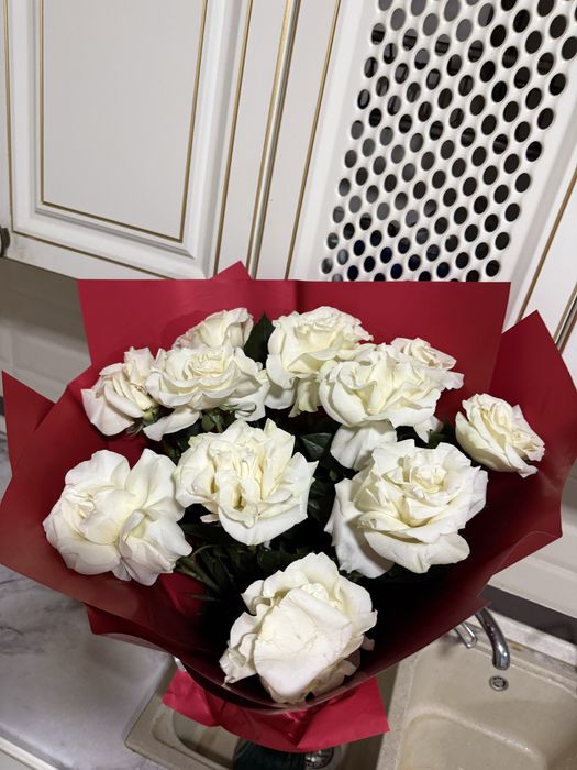 Цветы белый роза