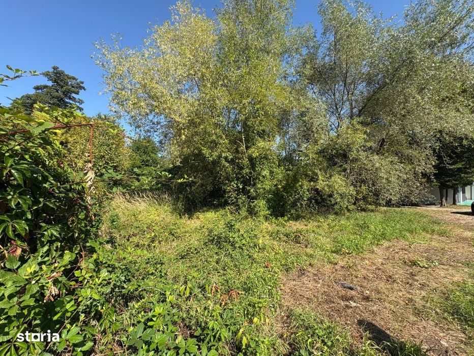 Teren intravilan de vanzare | 617 mp | zona Padurea Dumbrava