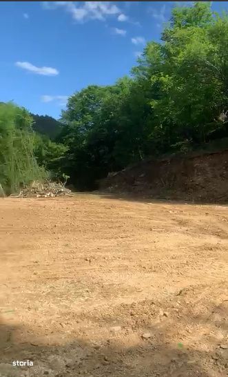 Oportunitate Teren extravilan 4000mp , Zona Baisoara