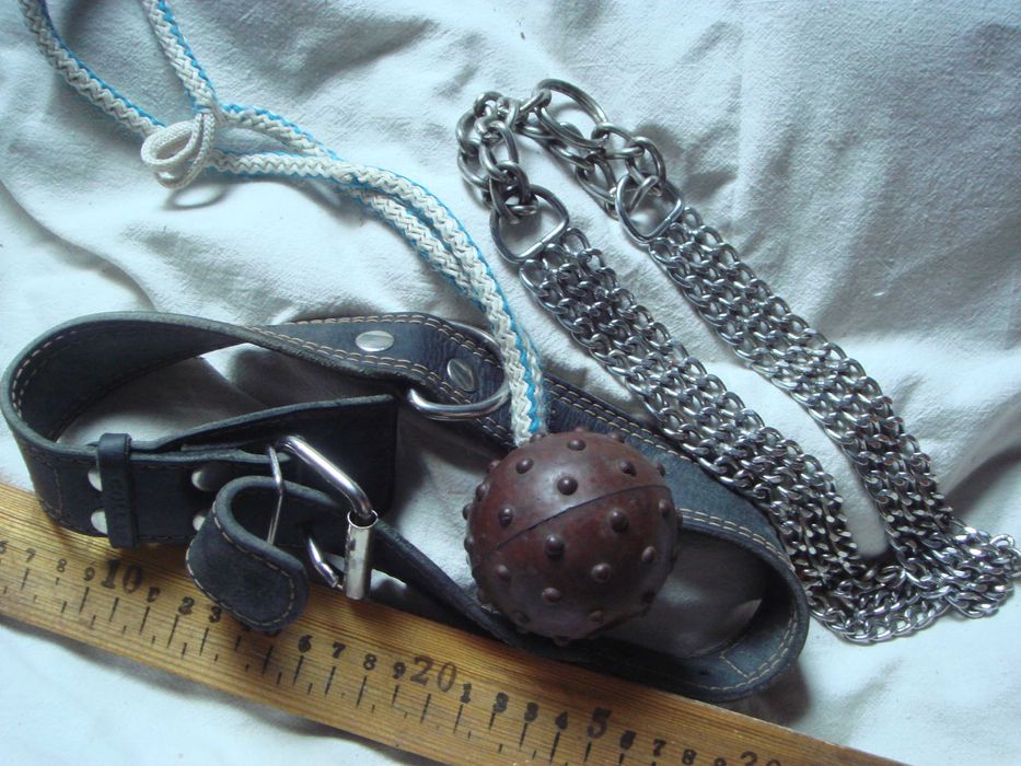 Ошейники Фирменные для большой собаки и игрушка для нее же