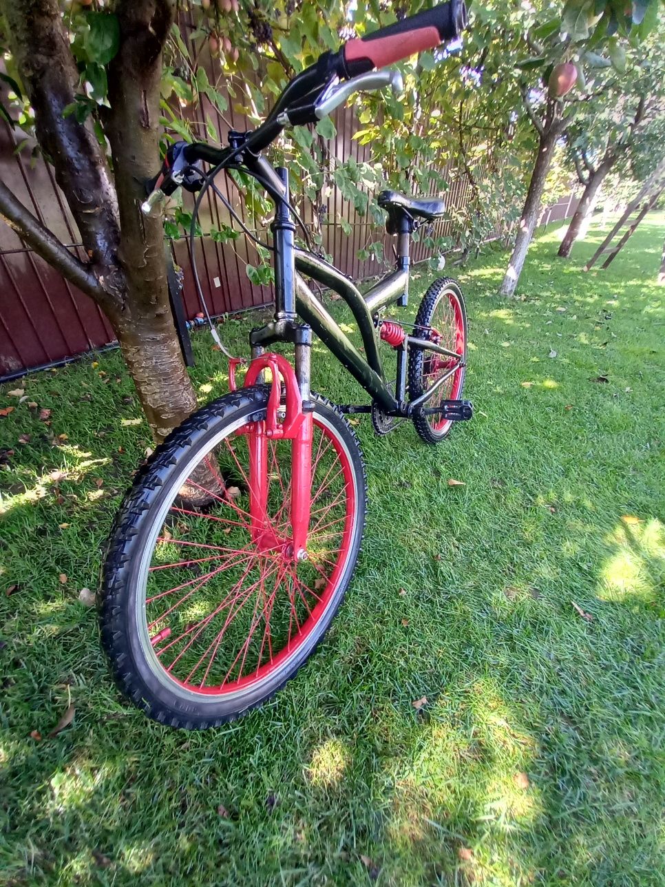 Bicicletă Rich Alpin