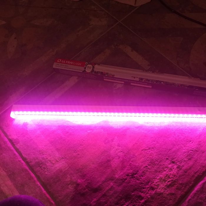 Фито лампа для растений фито лампа для рассады лампа полного спектра