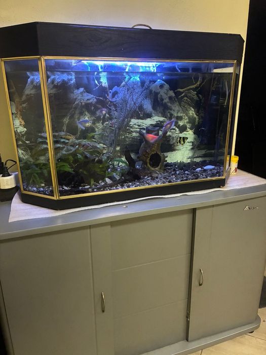 Оборудван аквариум 110 литра