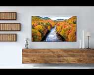Телевизор   (43") DU7100 Crystal 4K UHD Smart [2024]