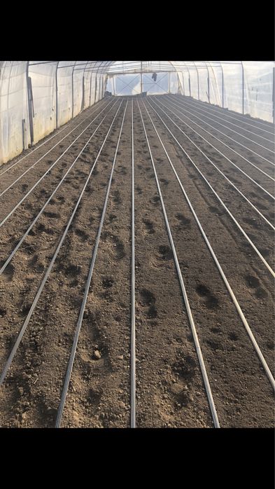 Vând două solarii ….