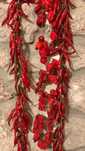 Каролина Хабанеро Халапеньо Тай Чили люти чушки семена chili