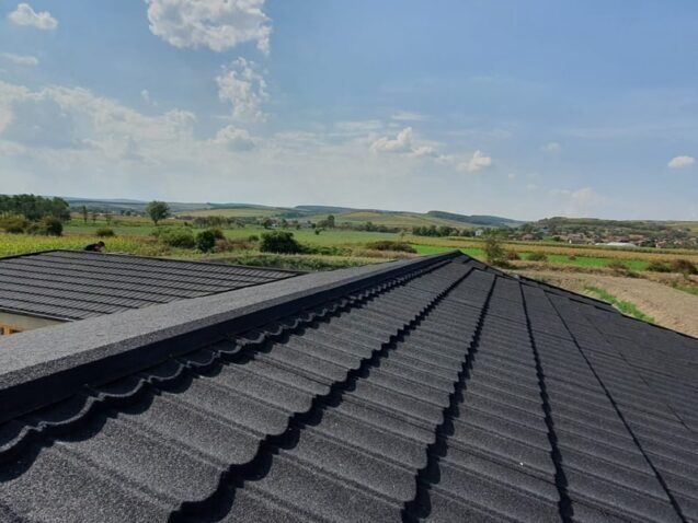 Reparati acoperisuri de urgenta