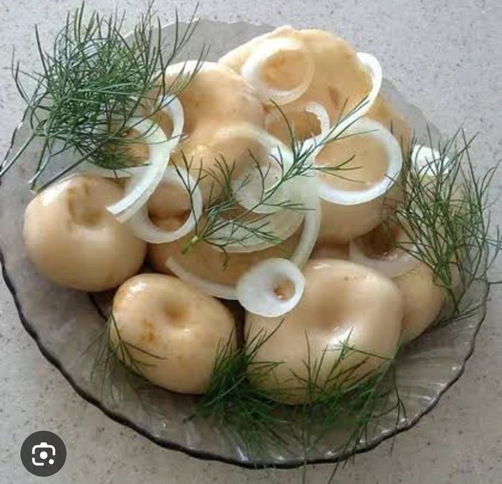 Грибы грузди  свежие соленные