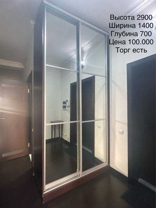 Купе шкаф в прихожую