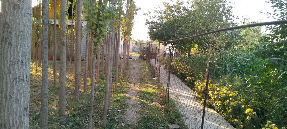 Участок сотилади. Янги  Куйлик бозори тарафта .
