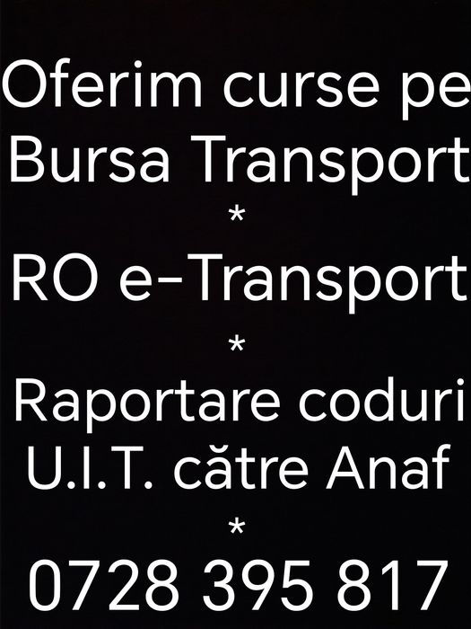 MANAGER TRANSPORT MARFA,  Ridesharing, Uber, Bolt.