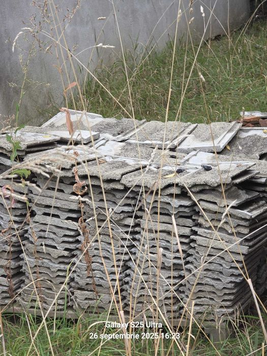 Tigle din beton, 1 leu/bucata