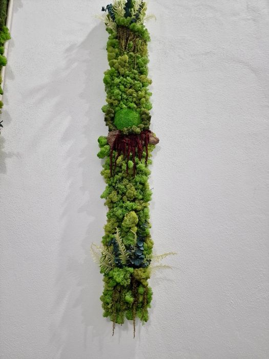 Vand tablori licheni pe comanda