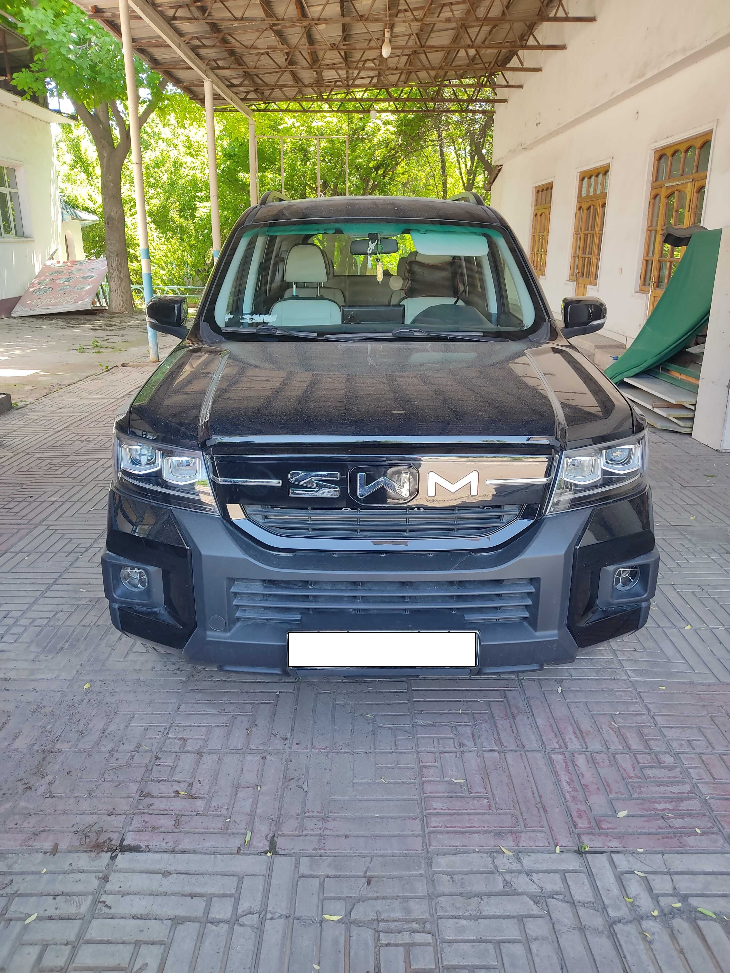 SMW гибрид (Shinarey G03), 7 ориндикли