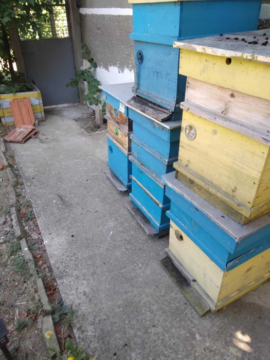 Продавам магазини и кошери втора ръка 15лв магазин