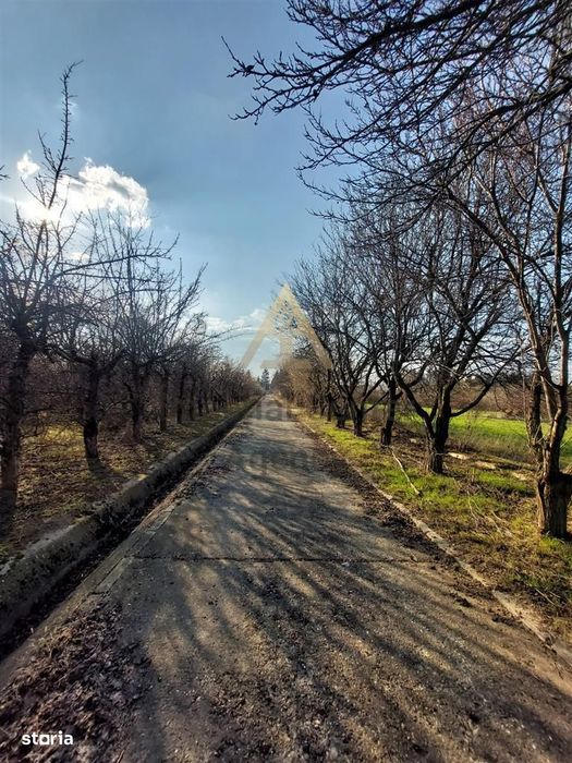 Onești | Teren 33 ha cu utilități • Se vinde integral s