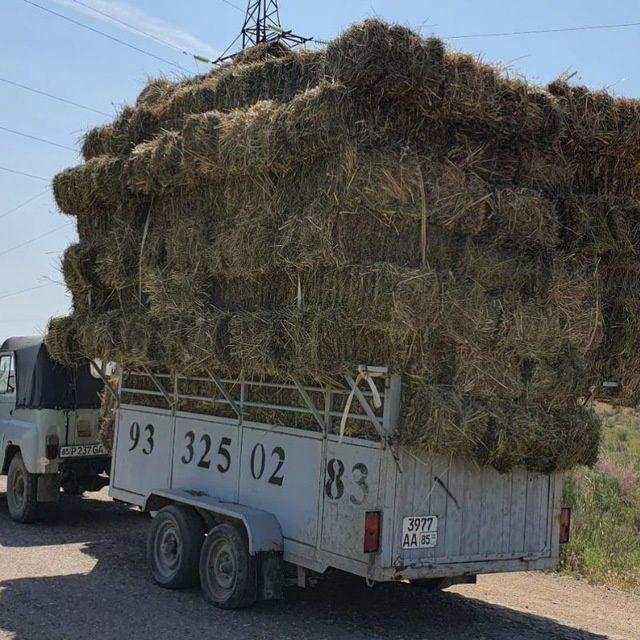 Уаз 3151 сотилади