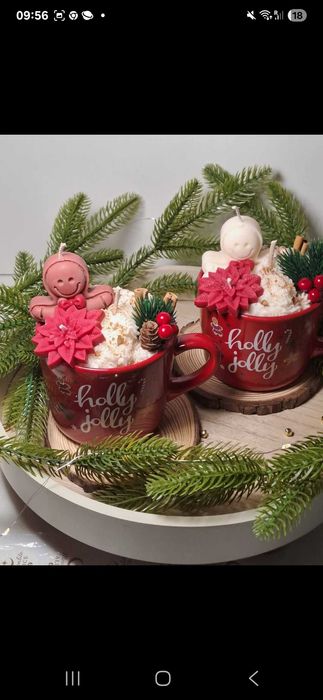 Ornamente si aranjamente de Craciun