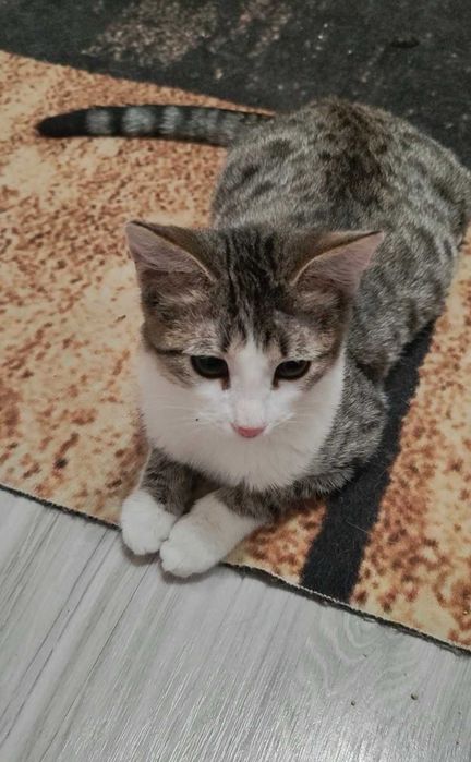 Чудо-ребёнок ищет дом