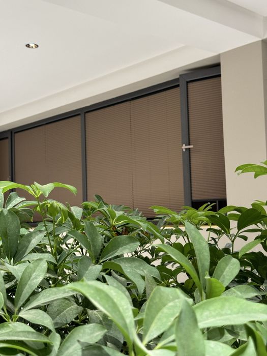 Jalyuzi jaluzi plisse жалюзи