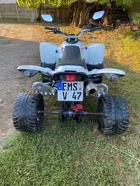 Quad ATV 300 cm Beeline