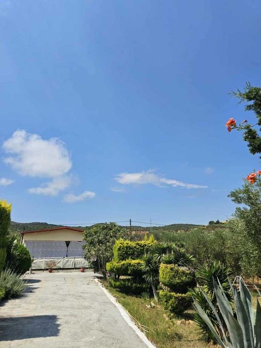 Самотоятелна къща в голям парцел