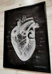 Tablou Anatomia Inimii