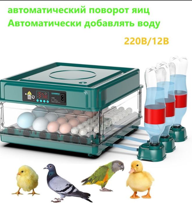 Инкубатор сатам .