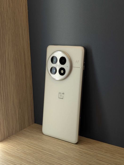 OnePlus 13 12/256GB Arctic Dawn (IN) (верифицирован)