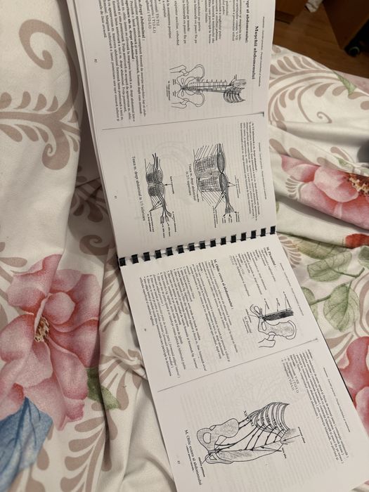 Carte anatomie Lupu peretii trunchiului si membre
