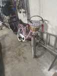 Bicicleta dama.
