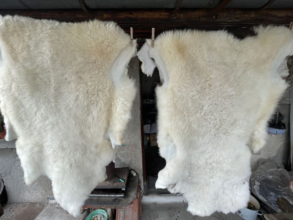 Агнешки кожи обработени