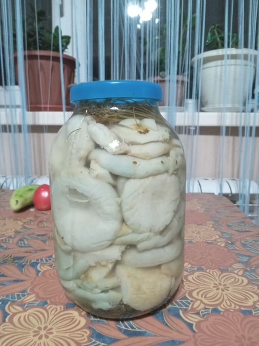 Продам маринованные грибы