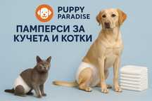 Памперси за животни – 100 броя