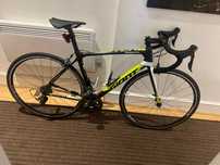 Cursiera giant carbon advanced 1