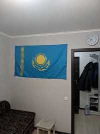 Қазақстан Туы (флаг Казахстана)