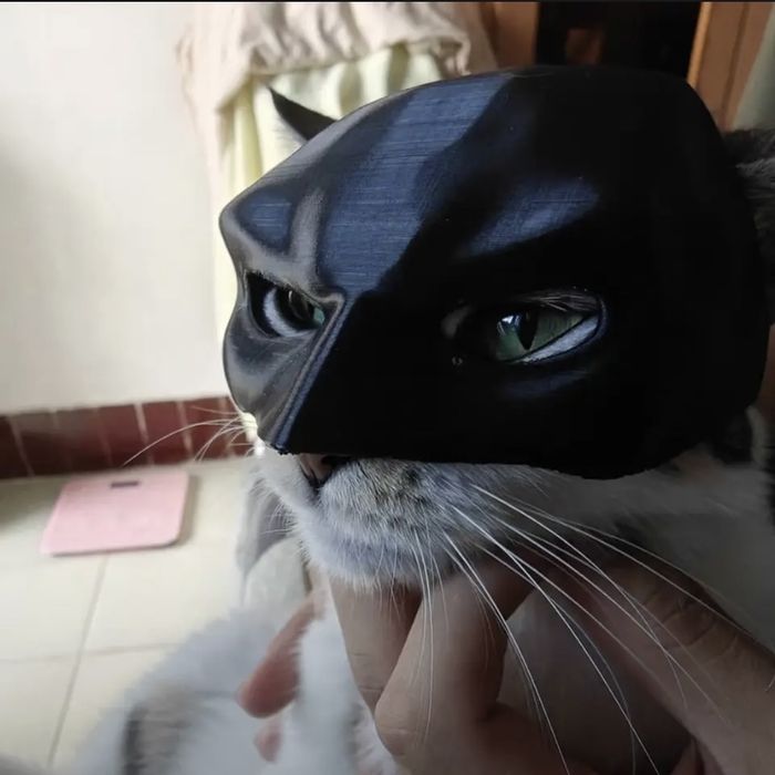 Маска Бэтмена для кота