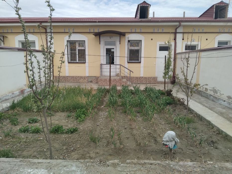 Котеж сотилади ( срочно )