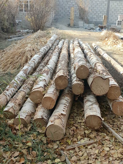 Болорлар сотилади.!