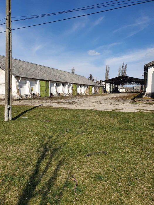 De vanzare baza de cereale cca 40.000 mp, intravinan, Oras Vânju Mare