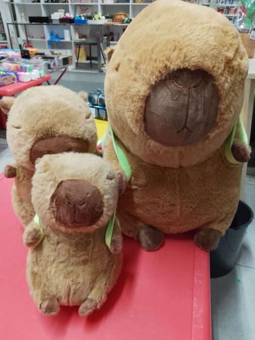 Capybara capibara maro diverse marimi jucării plus