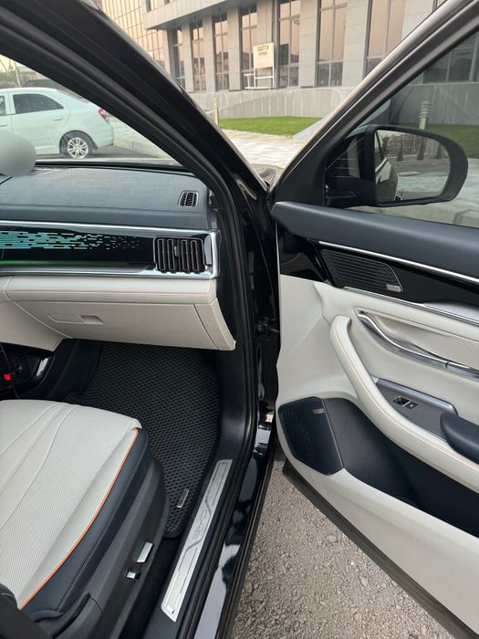 Byd,bivaidi,song plus,champion,2024/2024 yilchempion,чемпион