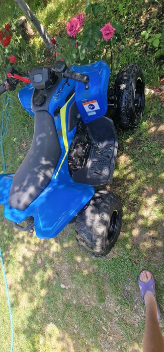Vand Cf Moto 110