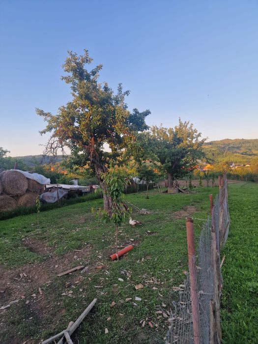 Casa la tara de vanzare