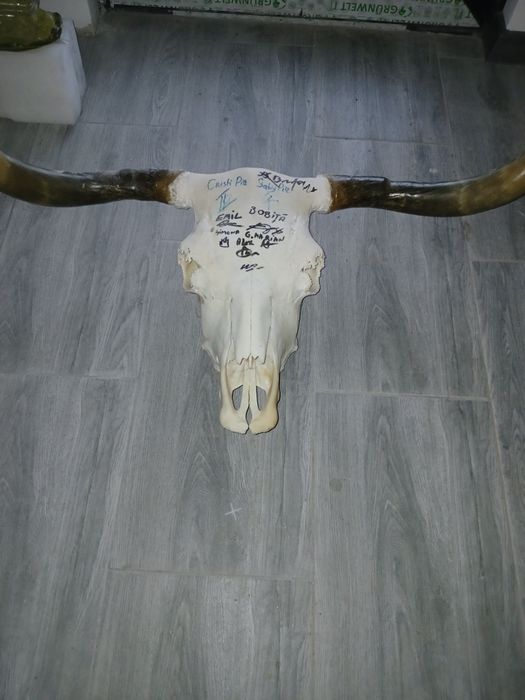 Vând un trofeu frumos.