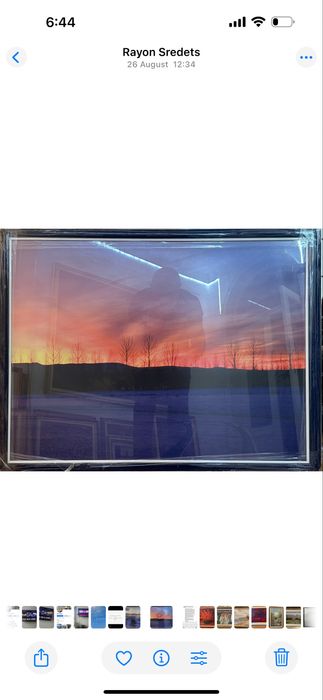 Картина / художествена фотография