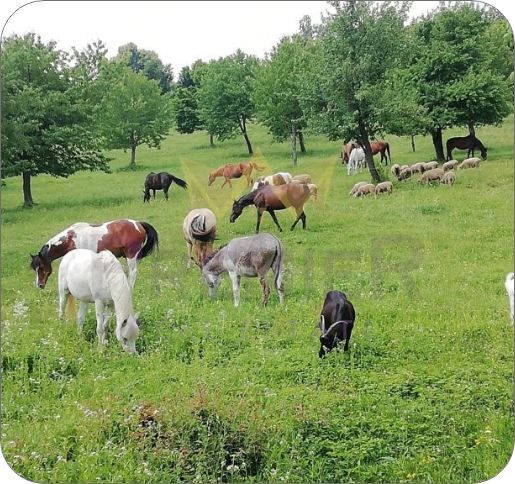 Къща село Китен Област Варна