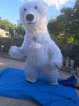 urs polar alb mascota gonflabila