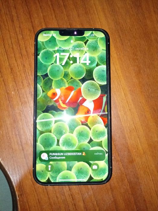 iPhone13 PRO MAX