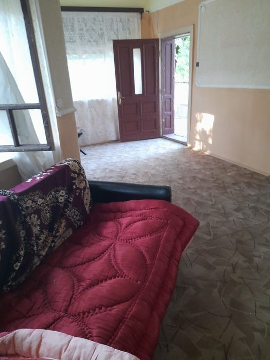 Casa in Tarnova, jud. Arad - 741mp - Gradina